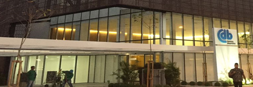 CDB – Centro de Diagnósticos Brasil